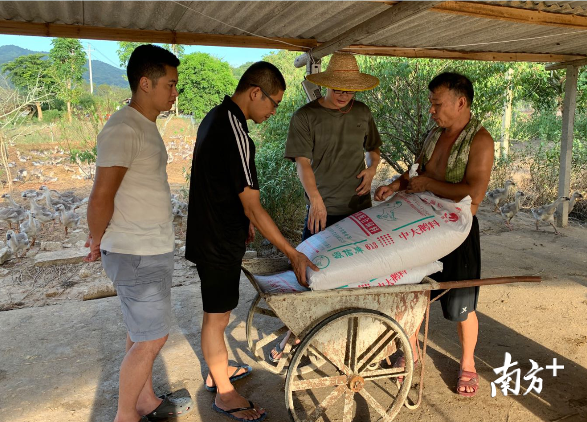 驻村工作组到养鹅场走访调研。受访者供图