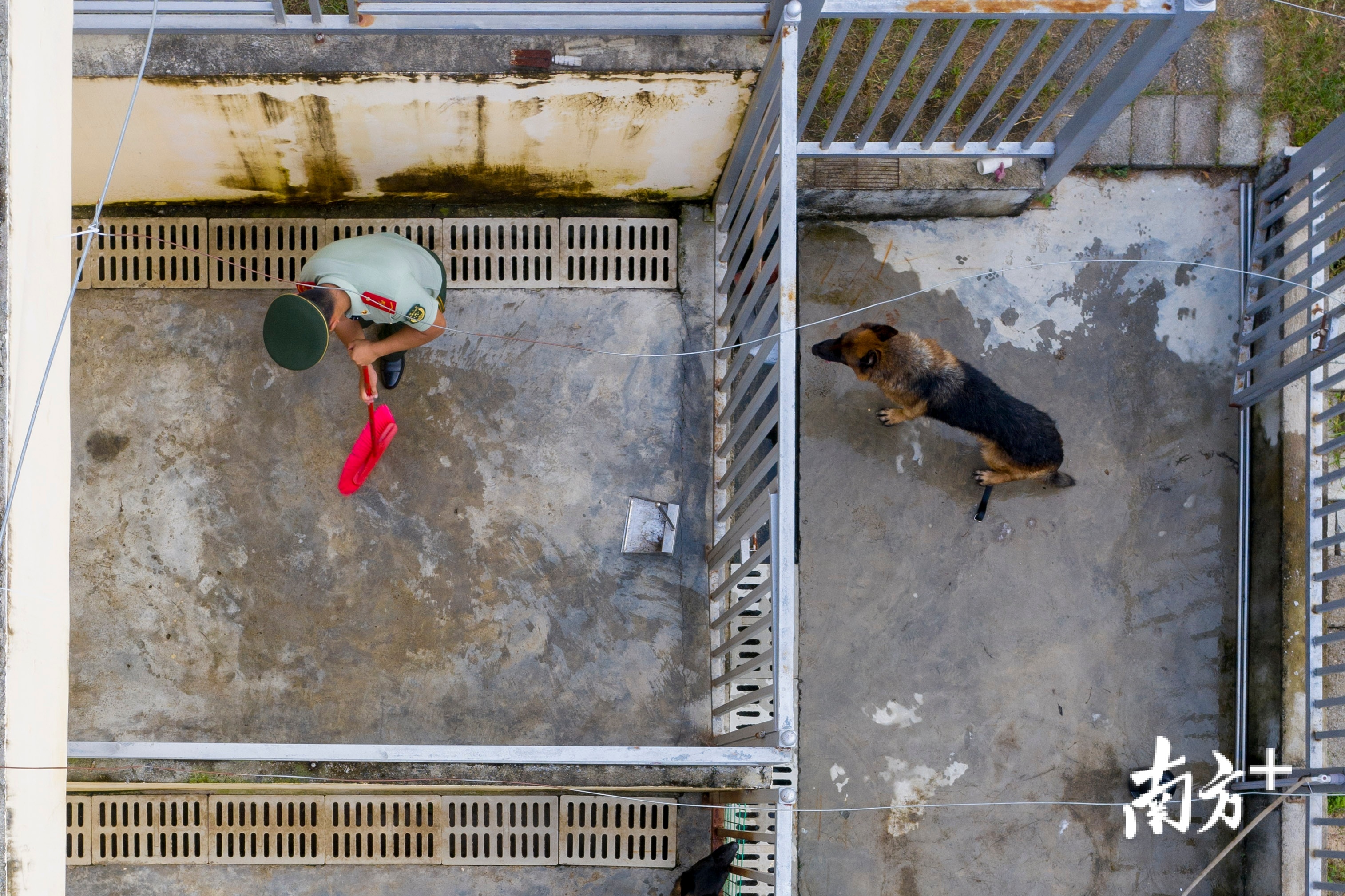 潘健怡退伍前为黑剑最后一次打扫犬舍卫生