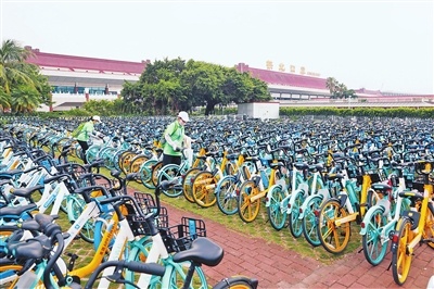 工作人员在整理共享单车。吴长赋 摄