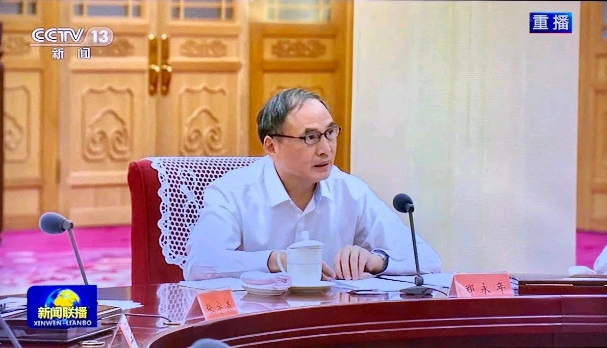 郑永年教授参加经济社会领域专家座谈会