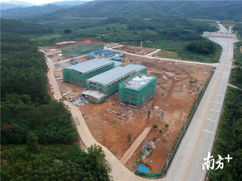 建设中的龙门县丝苗米基地。 建设中的龙门县丝苗米基地。