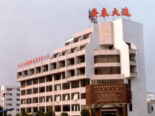 有家就有顺德造！乡镇企业群星璀璨｜走进顺德奋进之路③