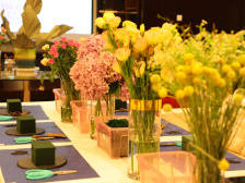 VIP精彩回顾丨夏日小格调，开心周末时光