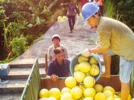 梅州“黄富美”待嫁闺中，等你来撩！