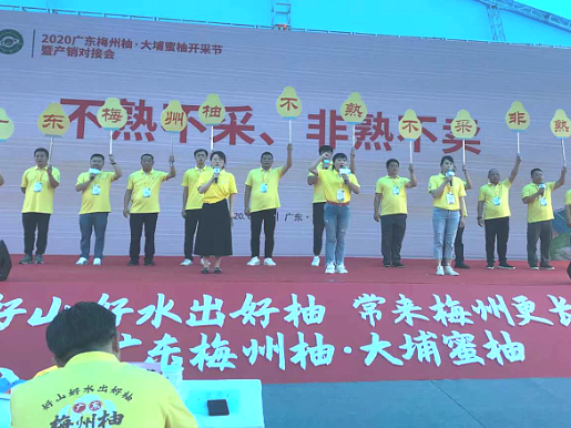 挡不住的“柚”惑!大埔蜜柚C位出道,快来Pick