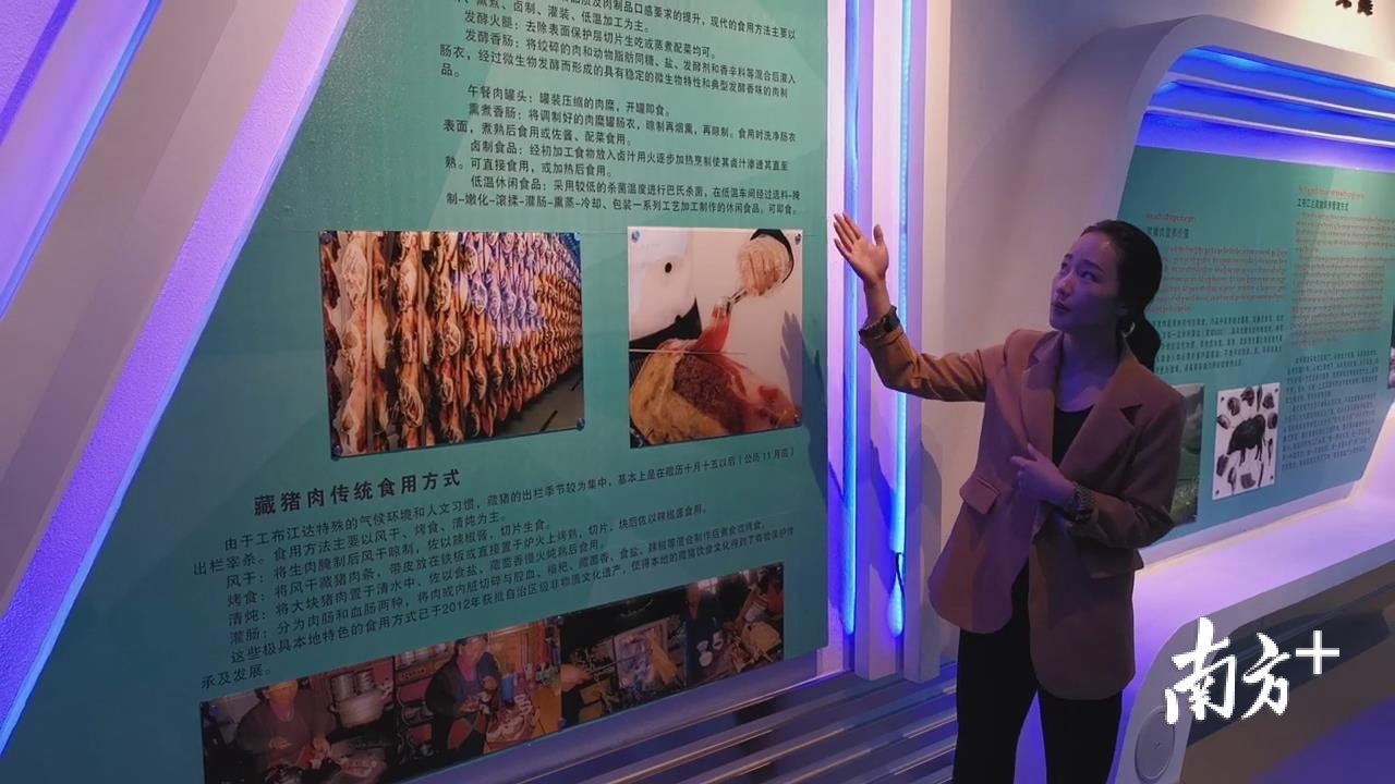 旦增旺姆在藏猪产业展览馆内兼职讲解工作。雷海泉 摄
