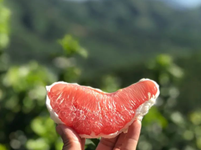 九月“柚”它才完美!平和琯溪蜜柚皮薄肉厚,爆汁爽脆!