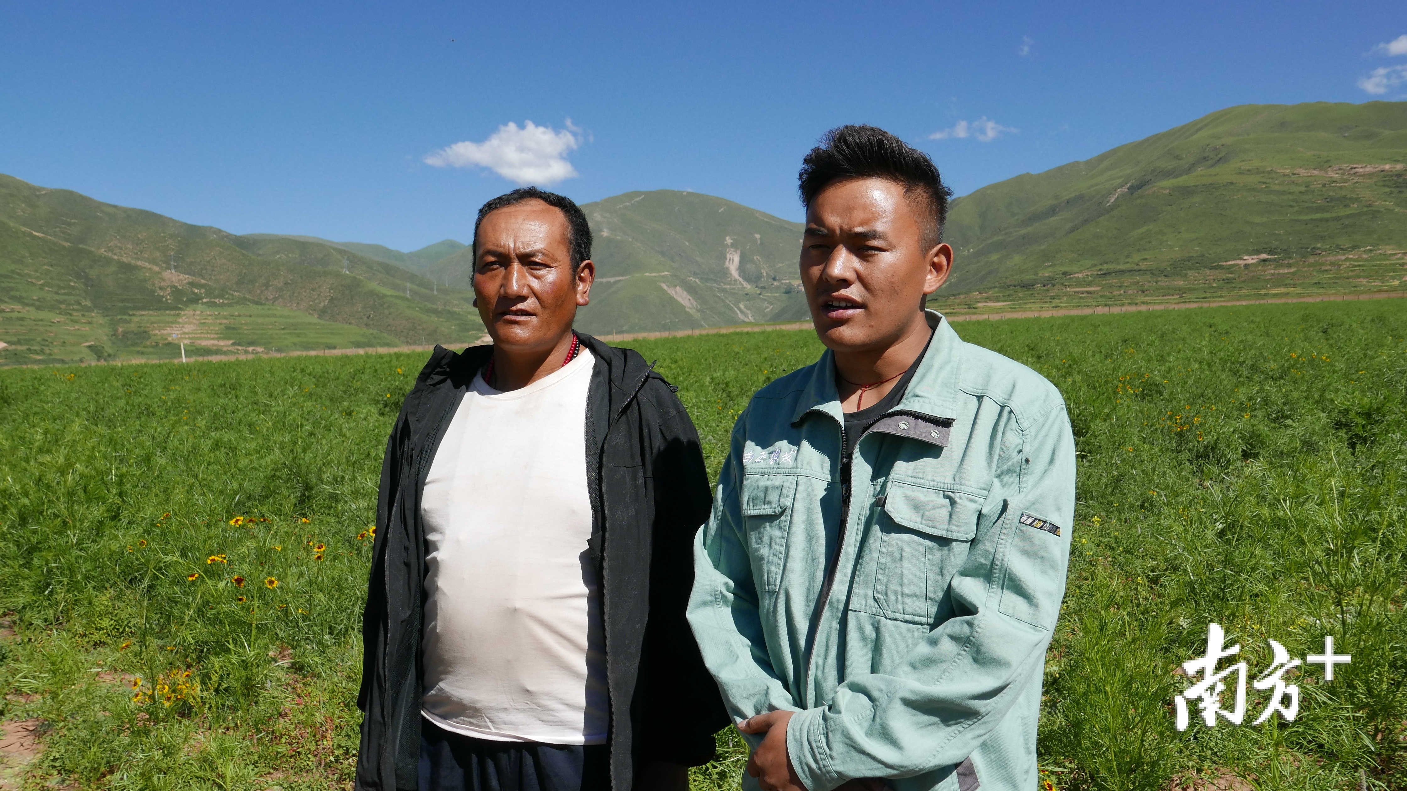 赠科乡定布村党支部书记布绒介绍,全村已有37户村民参与土地流转。何伟楠 摄 赠科乡定布村党支部书记布绒介绍,全村已有37户村民参与土地流转。何伟楠 摄