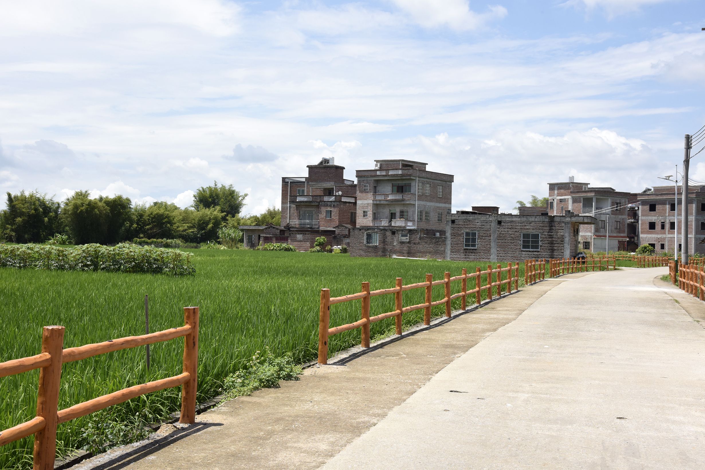 不断完善的基础设施,改善了郎照村村民生产生活条件,夯实了脱贫攻坚的基础。