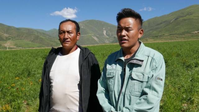 走进川藏|中山干部奔走高原办农场，农牧民变身“新农民”