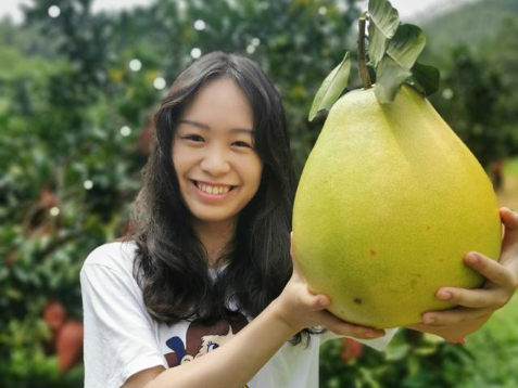 博罗农旅“联姻” ，果为你采成“柚”乐园