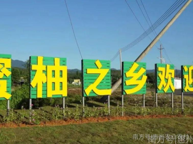 “柚”见丰收!惠州首届蜜柚文化节等你来“团圆”