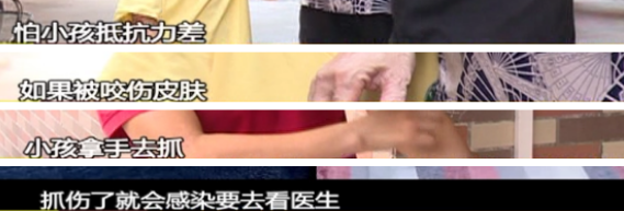 村民|“夺命蜱虫”？村中突现大量小黑虫，密密麻麻还难杀