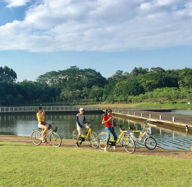 大学城|为什么番禺街坊最近都去环湖郊游?靓图曝光后,是心动的感觉了!