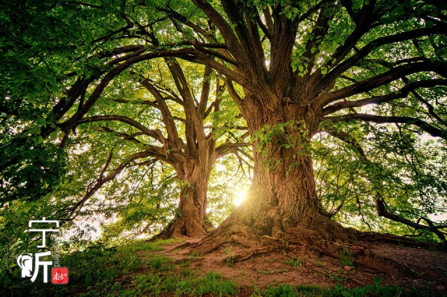 |宁听 | 最好的教育是：家长不护短，老师不姑息