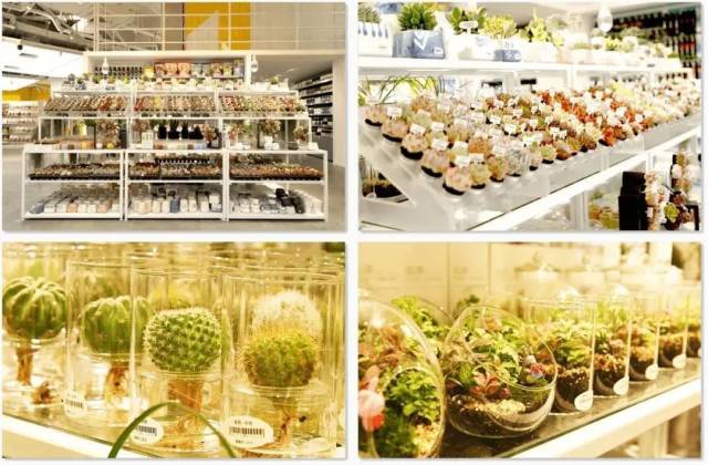 KKV|广州首家独栋KKV来了!20000+好物,整整3层楼,逛100次都不腻!