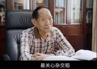 |宁听 | 90岁袁隆平的3位孙女曝光！原来一个家庭最好的家风是……
