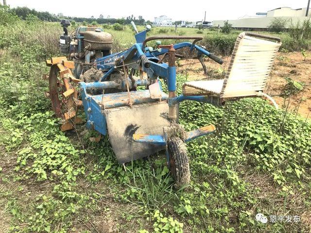 莫植|「走向我们的小康生活?决战决胜脱贫攻坚」莫植喜、方玉霞夫妇：生活越来越好了，靠的是……