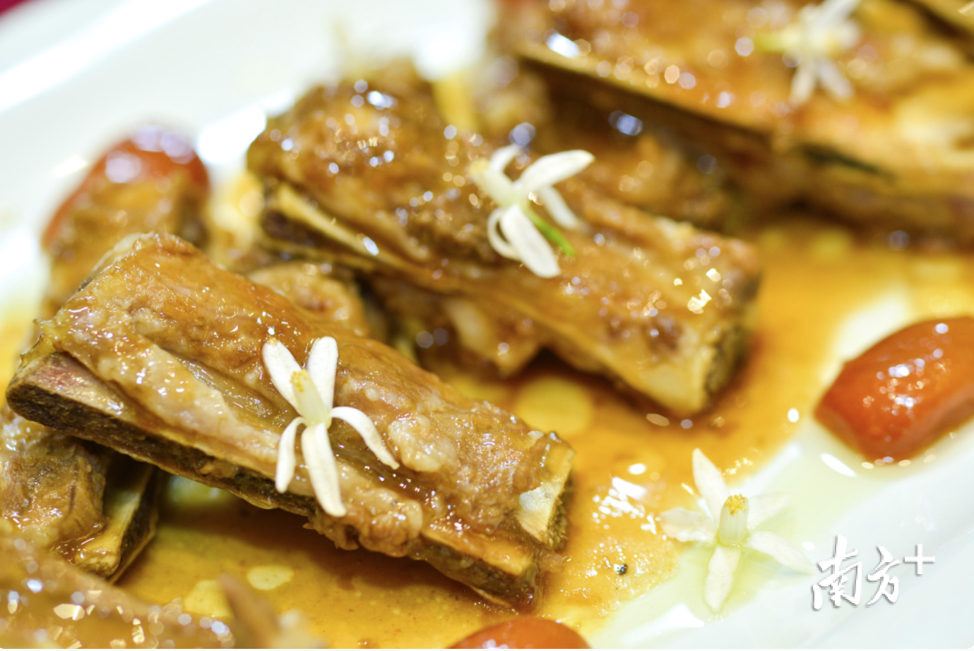 回柑桔花西排。 回柑桔花西排。