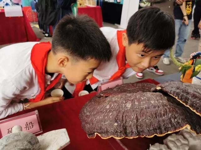 白云区|白云首批中小学生素质教育基地名单发布，10个单位上榜