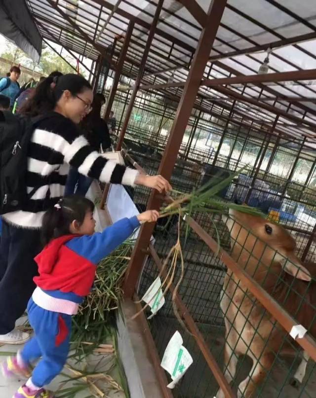 白云区|白云首批中小学生素质教育基地名单发布,10个单位上榜