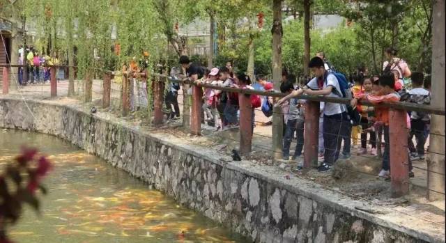 白云区|白云首批中小学生素质教育基地名单发布,10个单位上榜