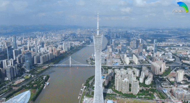 南方号|秋燥吃百合，此“百合”非彼“百合”|我要上首页 · 南方号今选