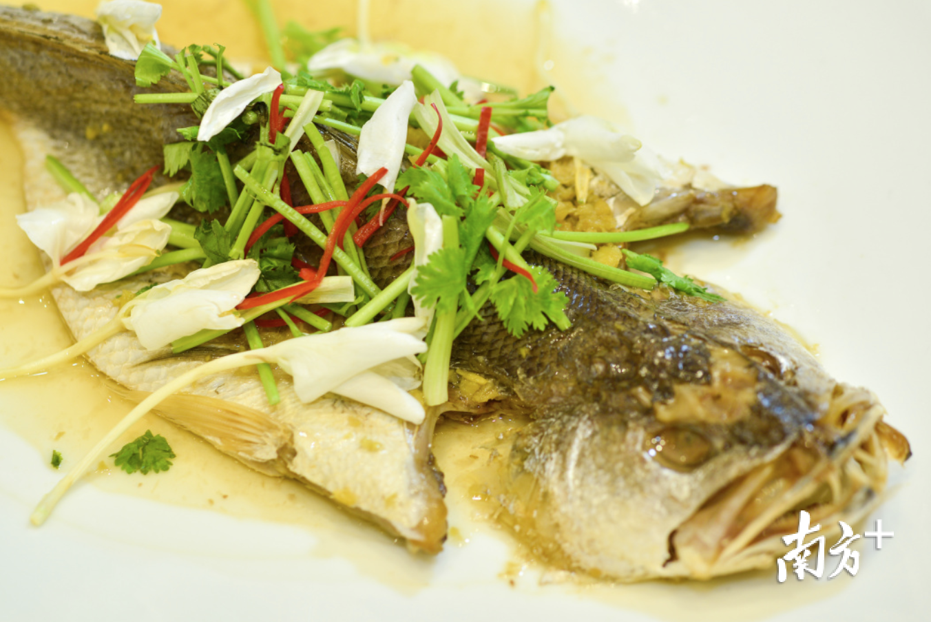 姜花蒸黄花筒。 姜花蒸黄花筒。