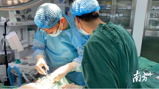 4名医疗专家分别是来自民众镇医院的欧宝莲、阜沙镇医院的梁勇、三角镇医院的韩沛泉、中山市人民医院南朗分院的林悦权。