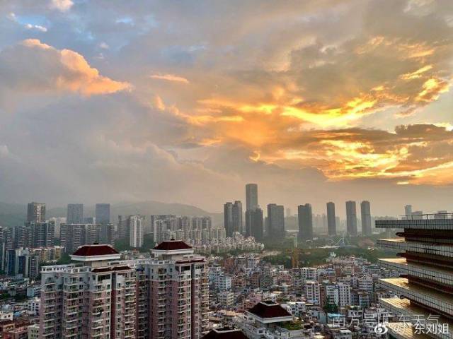 南方号|秋燥吃百合，此“百合”非彼“百合”|我要上首页 · 南方号今选