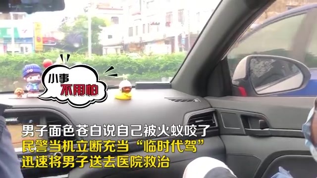 南方号|秋燥吃百合，此“百合”非彼“百合”|我要上首页 · 南方号今选