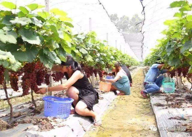 白云区|白云首批中小学生素质教育基地名单发布,10个单位上榜