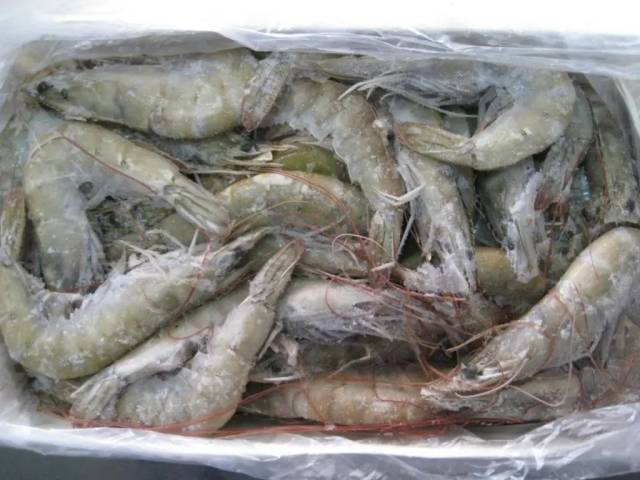 价格|虾价又要暴涨？卖虾黄金期来了！进口虾想“翻身”，国内“双高”库存说了算！