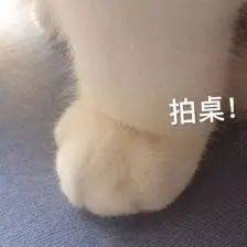 陈婷|【法眼看剧】陈婷太气人！以普法之名点评《以家人之名》中陈婷的行为