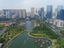 来论｜​杨望成：相信隐形冠军企业的生命力