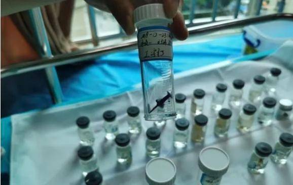 孩子|看着像果冻，其实是毒药！在家别让孩子碰这东西……