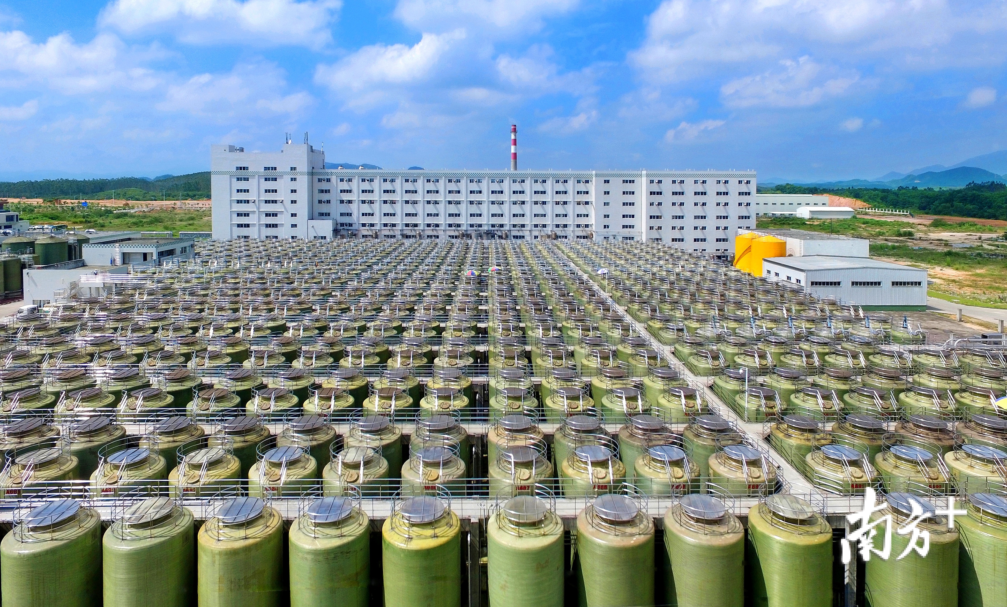 阳西县调味品产业加快发展。李泮 摄