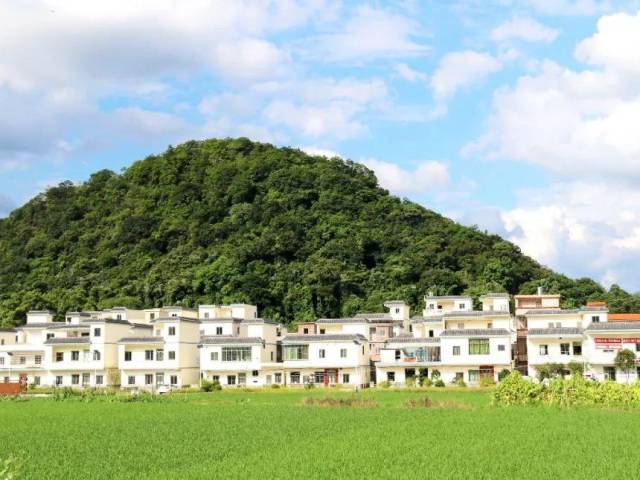 住在“桃花源”般的美丽乡村,阳山这条村的村民乐开花