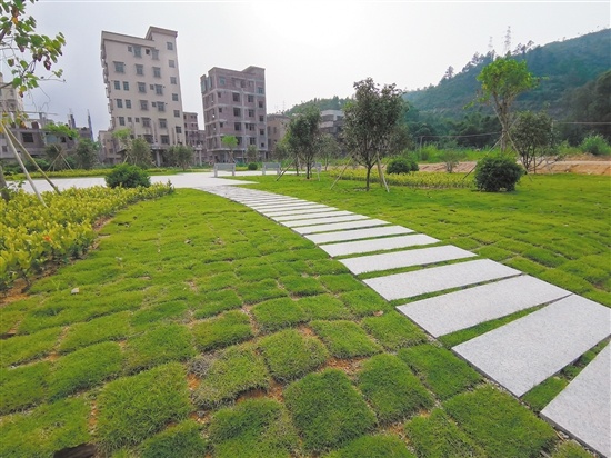 新建的古井镇三崖村文化广场环境优美，获村民点赞。