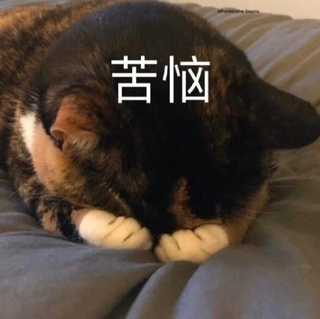 微信|原来，微信还有这样一个功能，广东人独享！