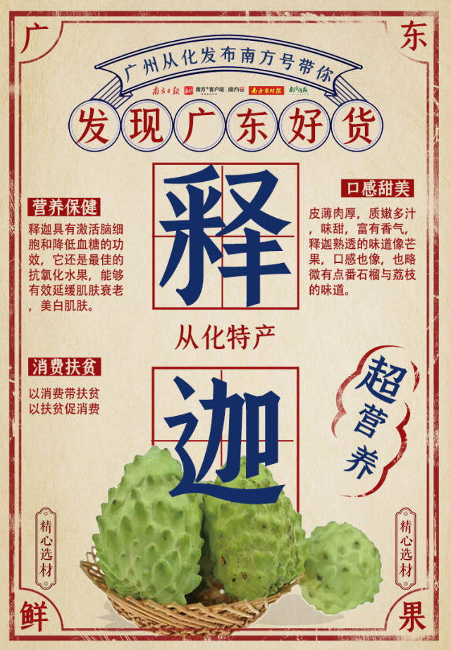 荔枝|广东这些美味,你吃过几个?