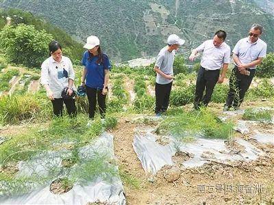 泸水|香洲助力泸水市脱贫攻坚！69个贫困村年底全部脱贫出列！