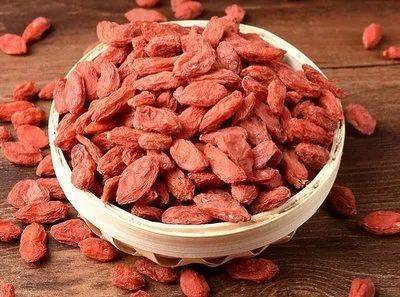 秋分|【健康】秋分时节 我们要“藏”好和“润”好