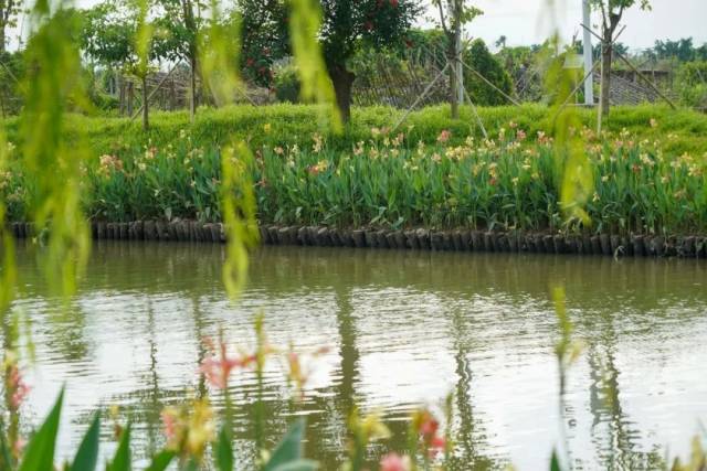 ＜＜＜|大湾区科创大赛特约·南方+早班车 |“嫦娥五号”预计年底前发射