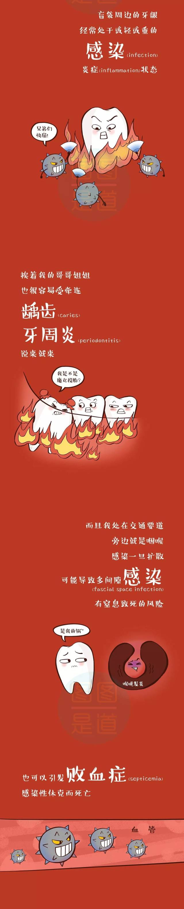 智齿|这儿有一颗智齿要发言(炎)