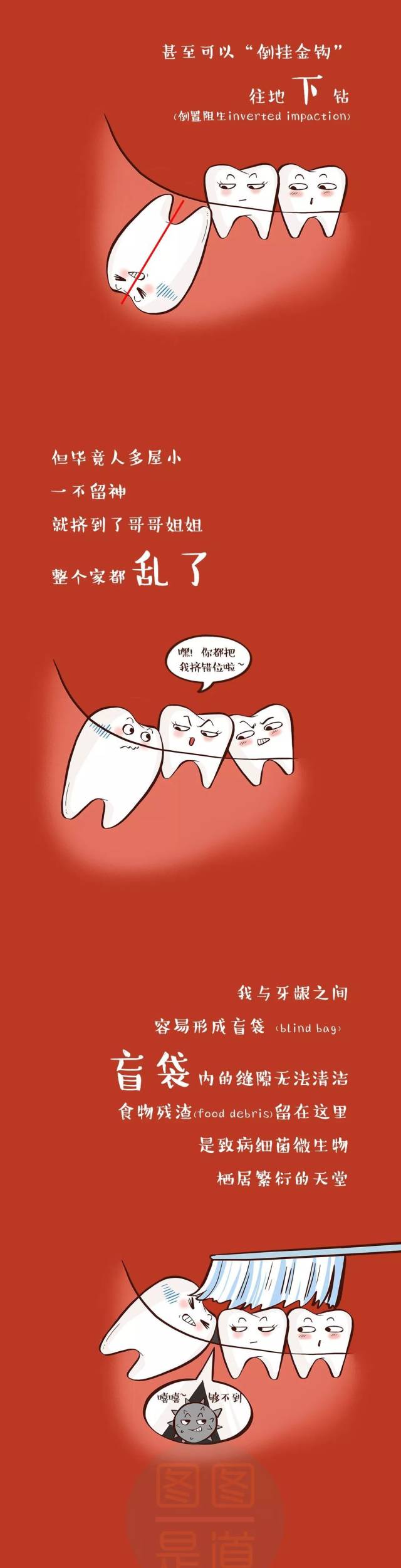 智齿|这儿有一颗智齿要发言(炎)