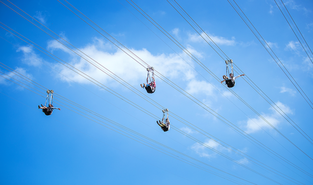 安全|网红景区女子速滑索道高处坠亡，最新通报来了！涉事景区曾多次被罚款，2年前发生过惊心一幕