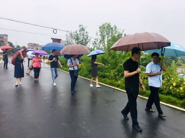 会员|民进云城区支部赴罗定开展调研学习活动