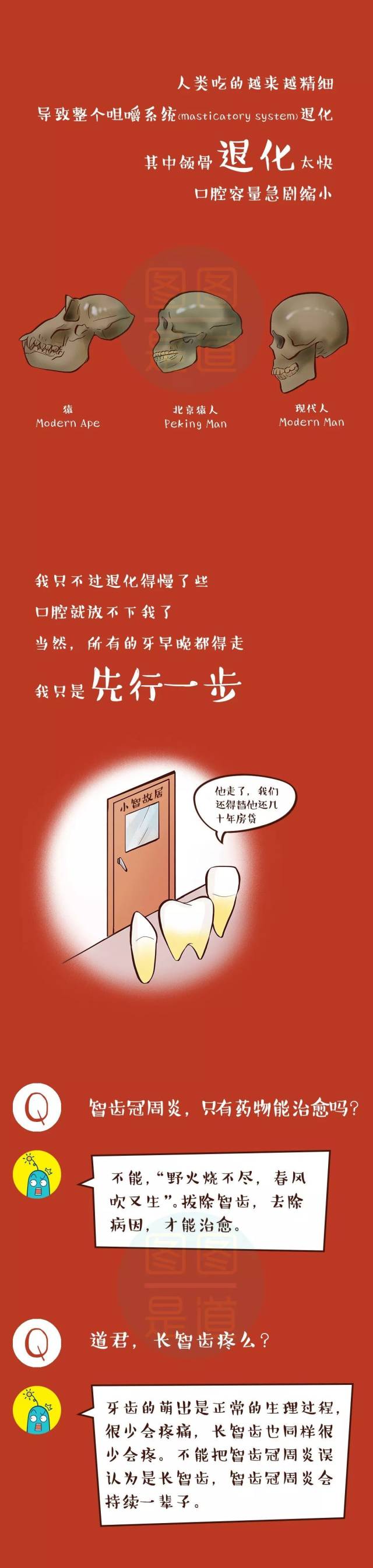 智齿|这儿有一颗智齿要发言(炎)