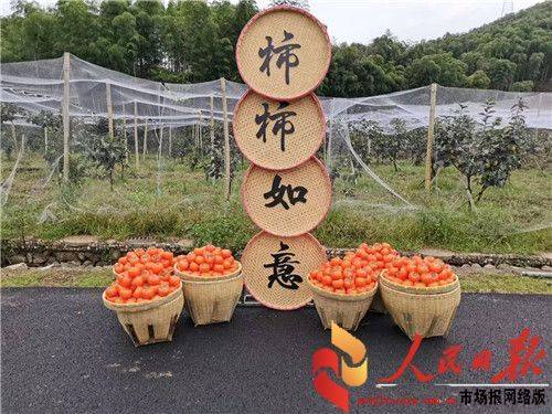 三山村|祝贺安吉梅溪三山甜柿节开市及房车露营地正式与政府签约